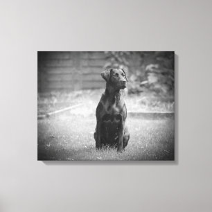 Toile Chiot noir de labrador retriever