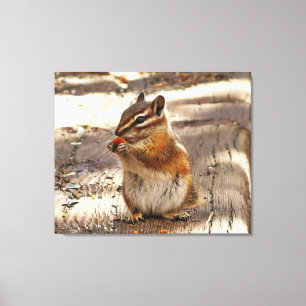 Toile Chipmunk