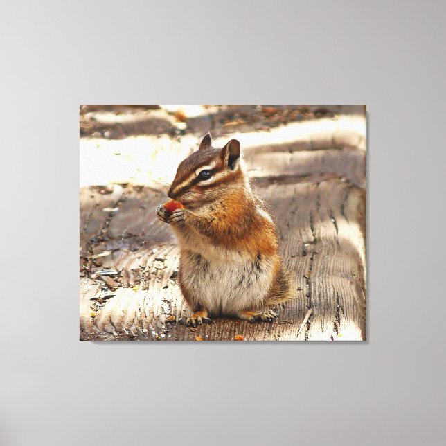 Toile Chipmunk (Recto)