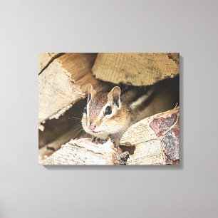 Toile Chipmunk dans une pile de bois