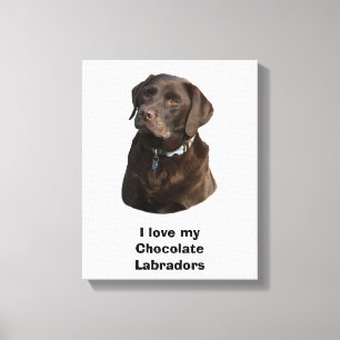 Toile Chocolate Labrador dog photo