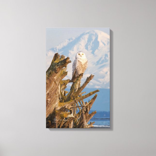 Toile Chouette de neige de l'Arctique, bois d'oeuvre de  (Recto)