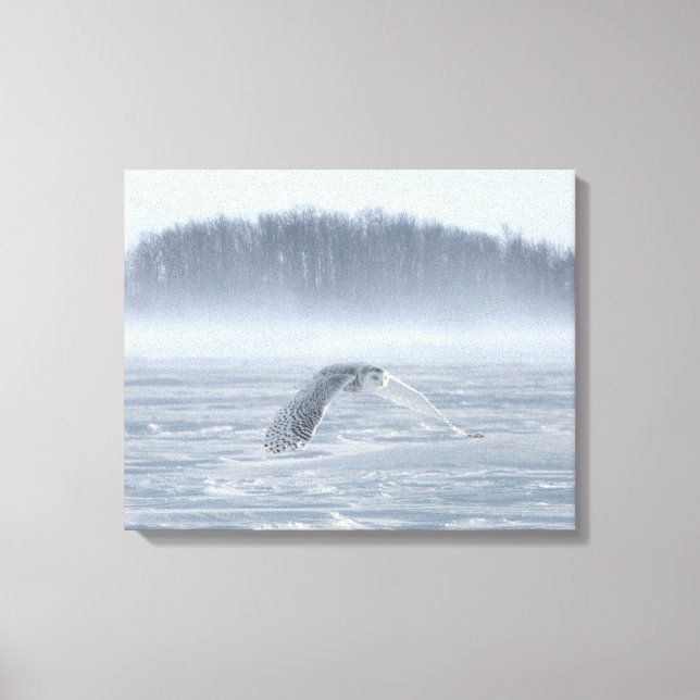 Toile Chouette Neige Volant En Hiver (Recto)