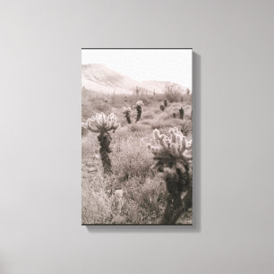 Toile Chumping Cholla Cactus Desert B&W Photo Prints