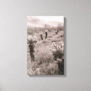 Toile Chumping Cholla Cactus Desert B&W Photo Prints
