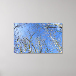 Toile Ciel bleu, Arbres en hiver