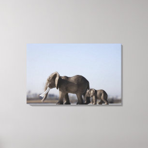 Toile Ciel bleu d'antécédents familiaux d'éléphant