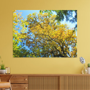Toile Ciel bleu et feuillage d'automne -