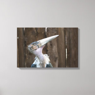 Toile Cigogne marabou