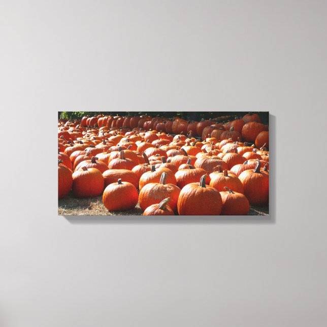 Toile Citrouille Patch Automne Harvest Photographie (Recto)