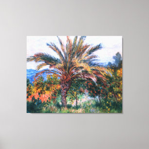 Toile Claude Monet : Palmier à Bordighera