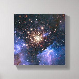 Toile Cluster Starburst