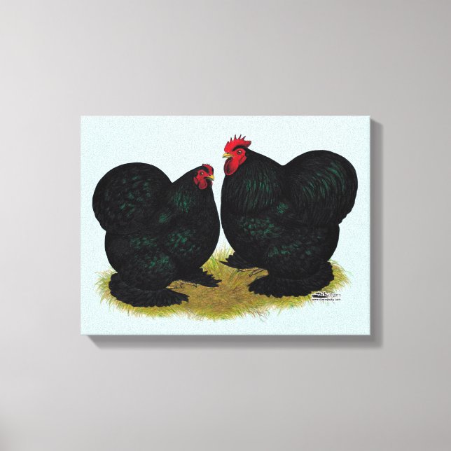 Toile Cochins Black Bantam Paire (Recto)