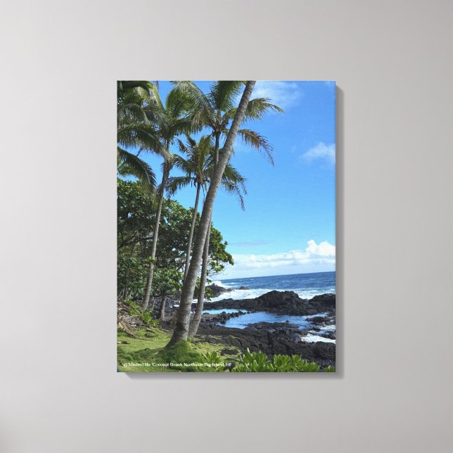 Toile Coconut Palm Beach Hawaii Imprimer @3dudes1life (Recto)