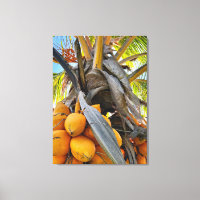 Cocotiers d'or