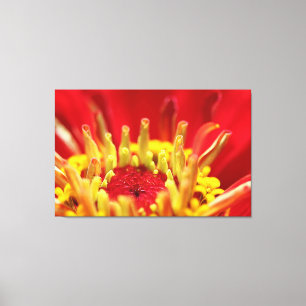 Toile Coeur de fleurs de Zinnia