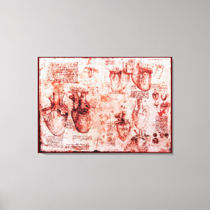 Toile Coeur Et Ses Vaisseaux, Léonard De Vinci, Rouge