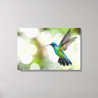 Toile Colibri iridescent traverse des gouttes d'eau