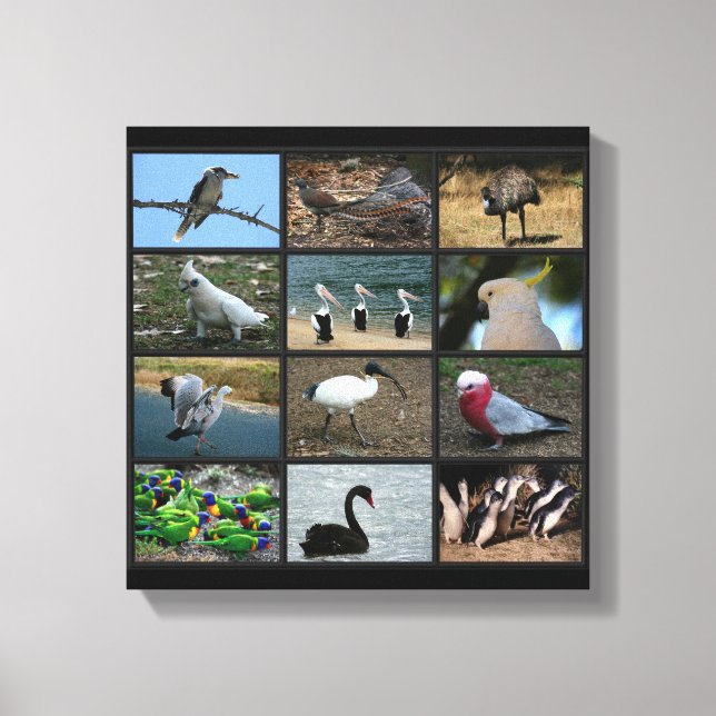 Toile Collage d'Oiseaux australiens (Recto)