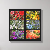 Collage photo Rainbow Flower