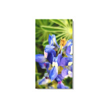 Collection de flore printanière de la nature envoû