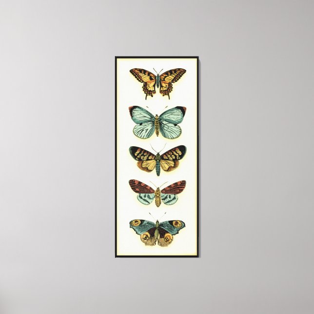 Toile Collection Papillons par Chariklia Zarris (Recto)