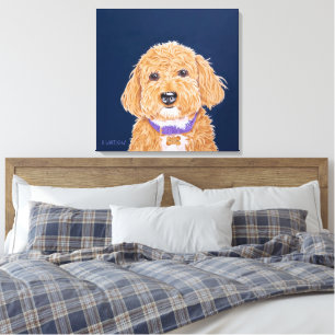 Toile Collegiate Goldendoodle