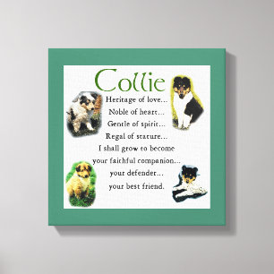 Toile Collie Puppy Heritage of Love