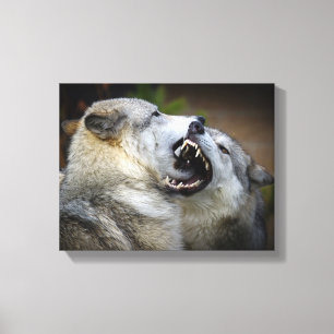 Toile Combat de loup
