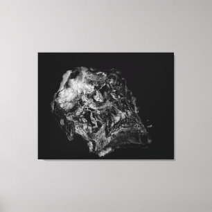 Toile Complexité / Crâne surréaliste