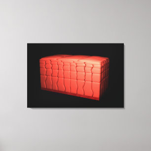 Toile Concept De Stratifié Squamous Epithelium 1