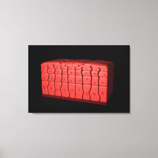 Toile Concept De Stratifié Squamous Epithelium 2 (Recto)