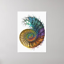Concept Fossil Ammonite dans colorant d'encre dyna