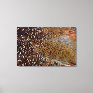 Toile Conception de plume de faisan marron