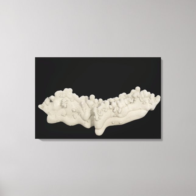 Toile Concrétion d'argile (Recto)