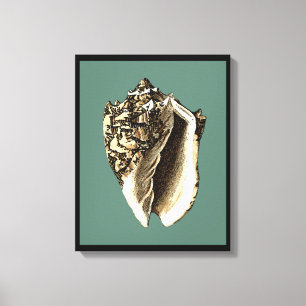 Toile Conque turquoise Shell