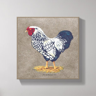 Toile Coq argenté Laced Wyandotte