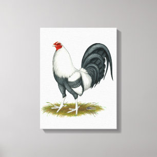 Toile Coq de combat américain argenté bleu