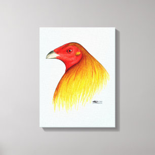 Toile Coq de Combat Ébarbé