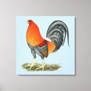 Toile Coq de rouge bleu de coq de combat