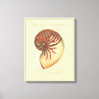 Coque conique rouge vintage