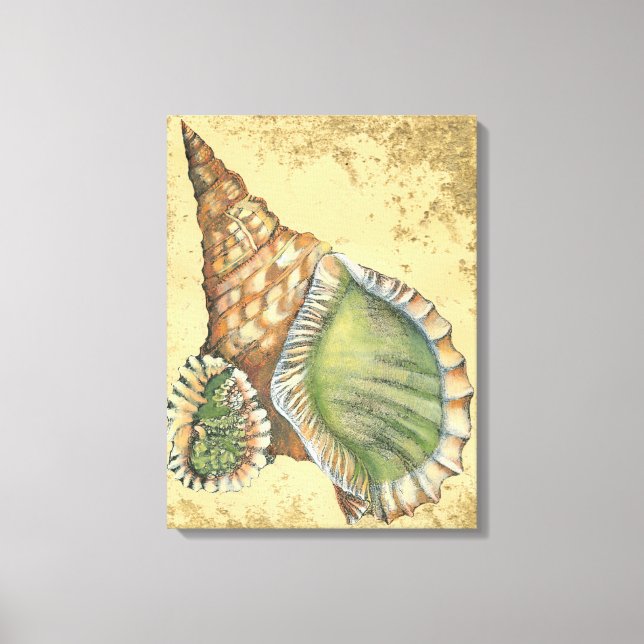 Toile Coquillage Brown et vert (Recto)