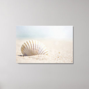 Toile Coquillage de mollusque