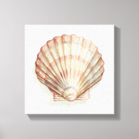 Coquillage rose et crème
