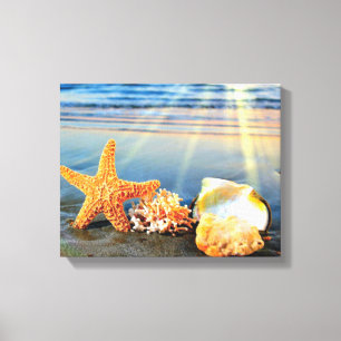 Toile Coquillages marins et étoiles de mer sur la plage