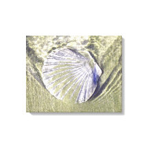 Coquille d'huître sous-marine
