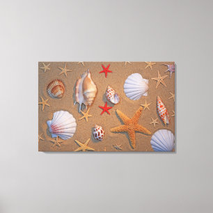 Toile Coquilles et étoiles de mer de mer disposées sur