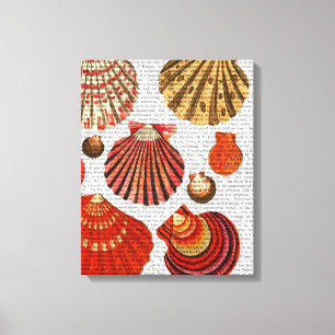Toile Coquilles rouges de palourde