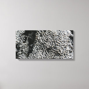 Toile Corail noir et blanc I Abstrait Nature Photo