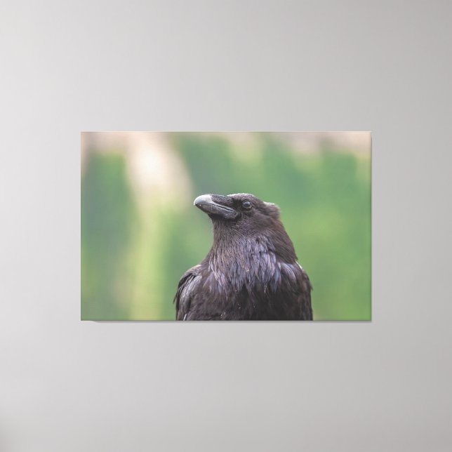 Toile Corbeau (Recto)